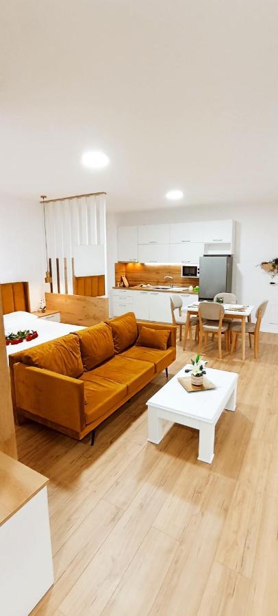 Selvia Apartament تيرانا المظهر الخارجي الصورة